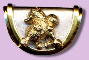 14K White and Yellow Gold Slide with Trotting Poodle