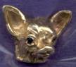 Smooth Chihuahua Head with Sapphire Eyes (small)