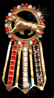 14K Gold Best in Show Rosette with Full Cut Diamonds, Rubies and Sapphires surrounding YOUR Breed in center top and in prong set streamers