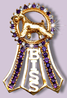 Best in Specialty Show with Diamonds and Amethysts