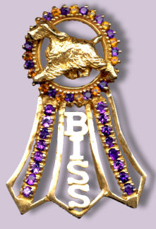 14K Gold Best in Specialty Show Rosette with Citrines and Amethysts,Flaring Streamers, and Featuring YOUR BREED in top Center 