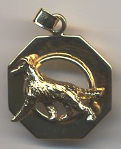 14K Gold Smooth Collie in Glossy Octagon