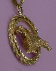 14K Gold English Springer in Classic Rope Bezel-Side Front View