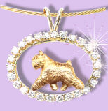 14K Gold Bouvier Trotting in Our Exclusive Diamond Oval