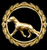 14K Gold Irish Wolfhound in Classic Rope Bezel